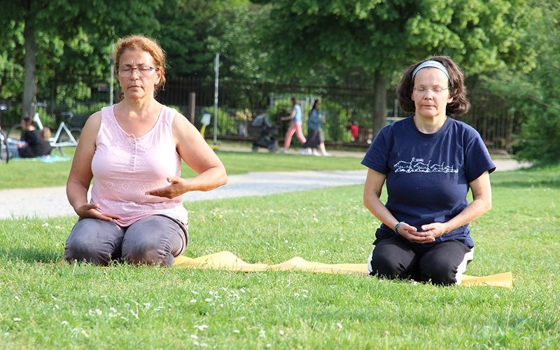 Yoga-dustdar