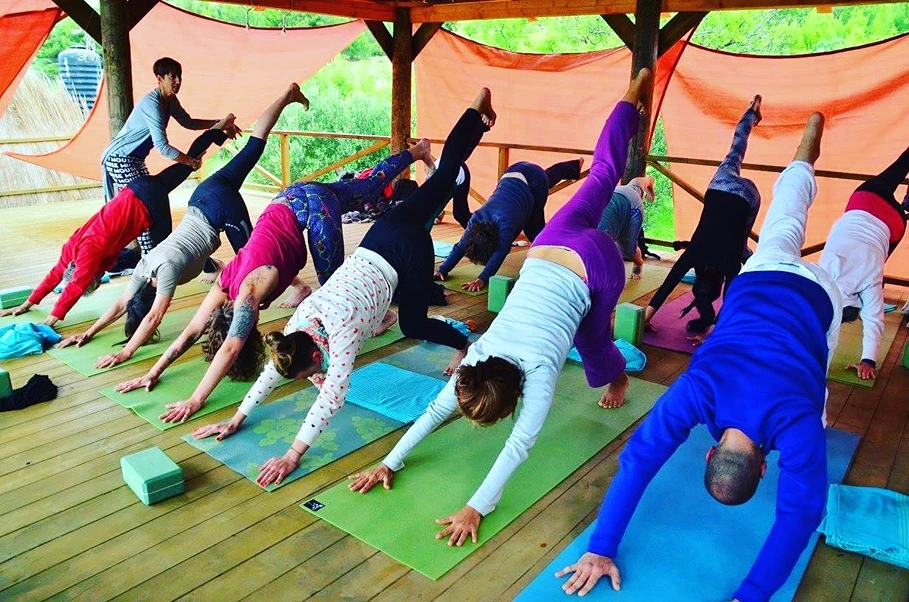 Yogahaus Frankfurt-westend