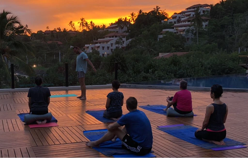 Nitya-yoga Schule 