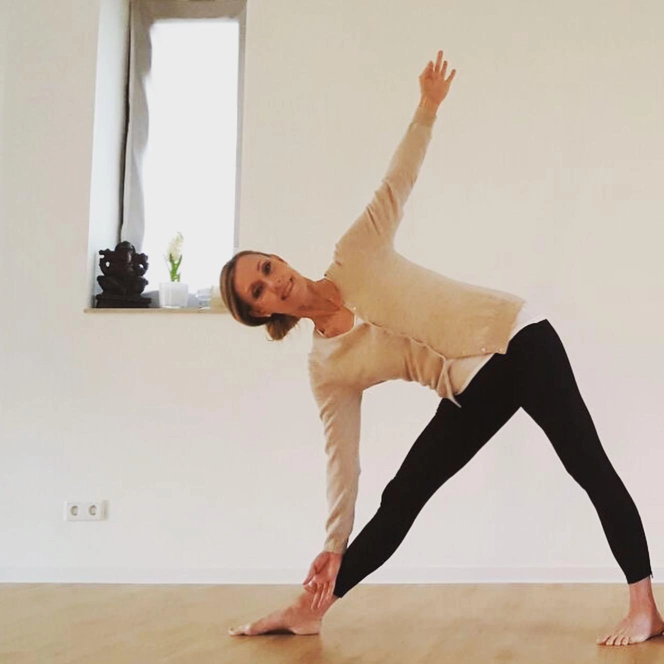 Nitya-yoga Schule
