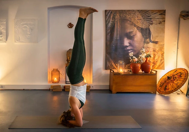 Palmhouse Yoga