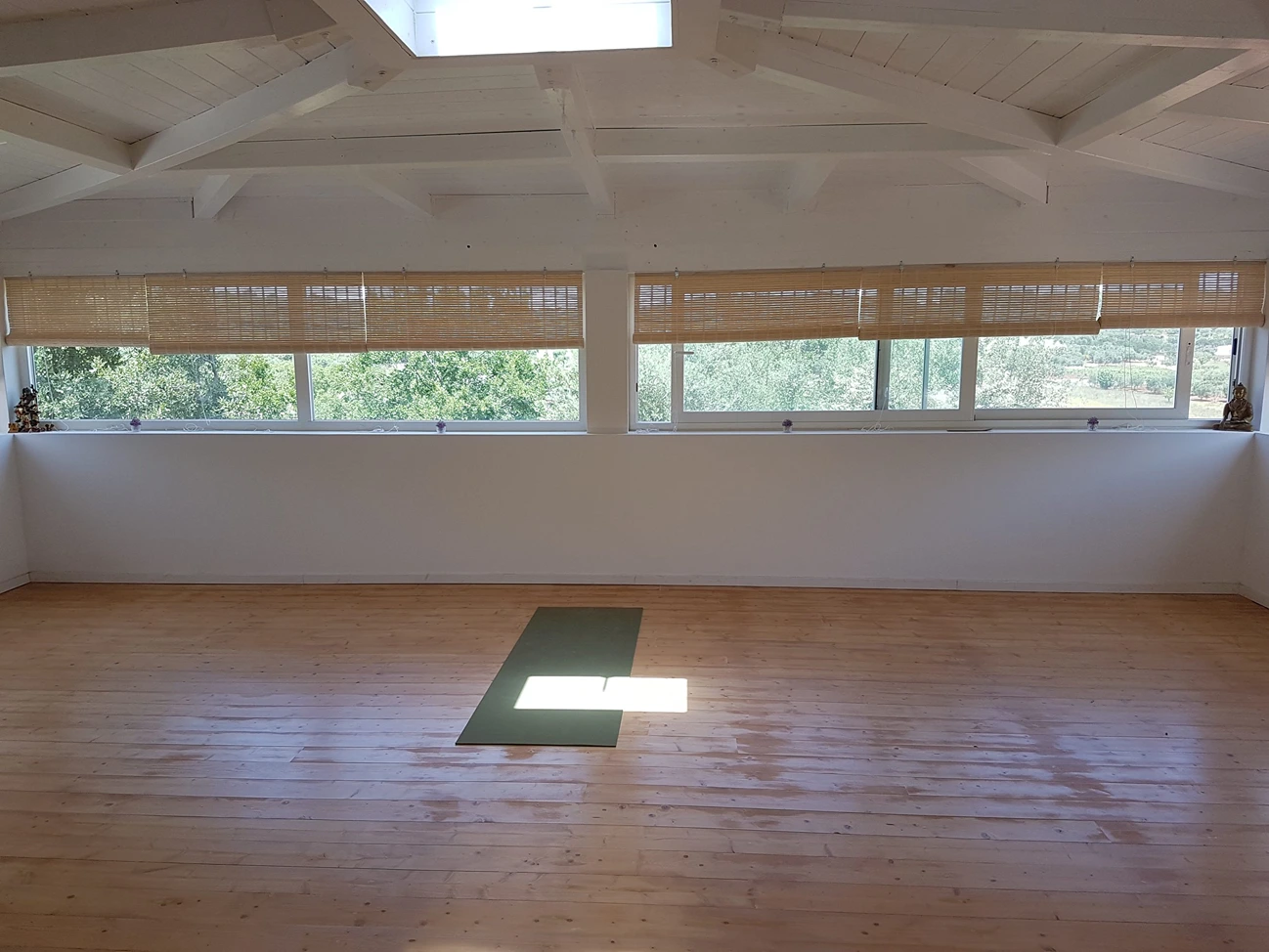Silke Hurtz - Ashtanga Yoga Schule Düsseldorf