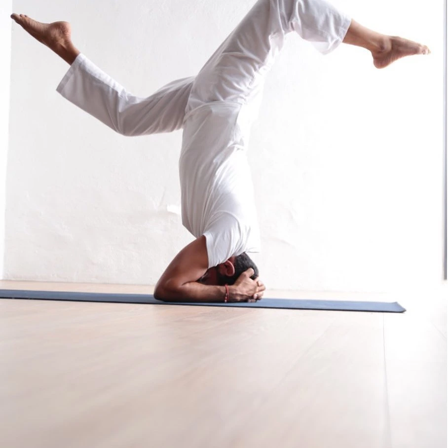 Yoga Sanskriti 