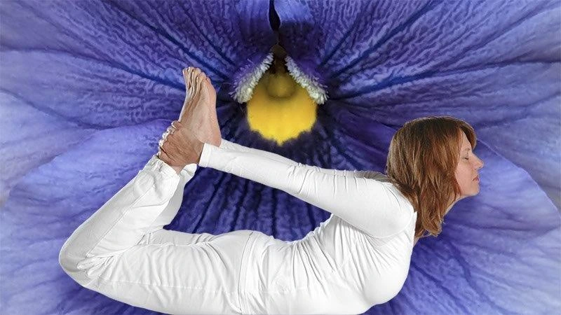 Yogacenter Düsseldorf L Humanitao Stiftung