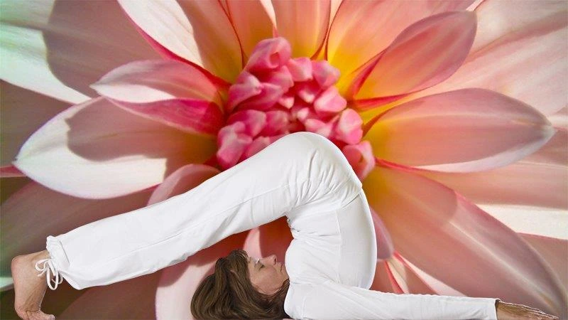 Yogacenter Düsseldorf L Humanitao Stiftung Germany