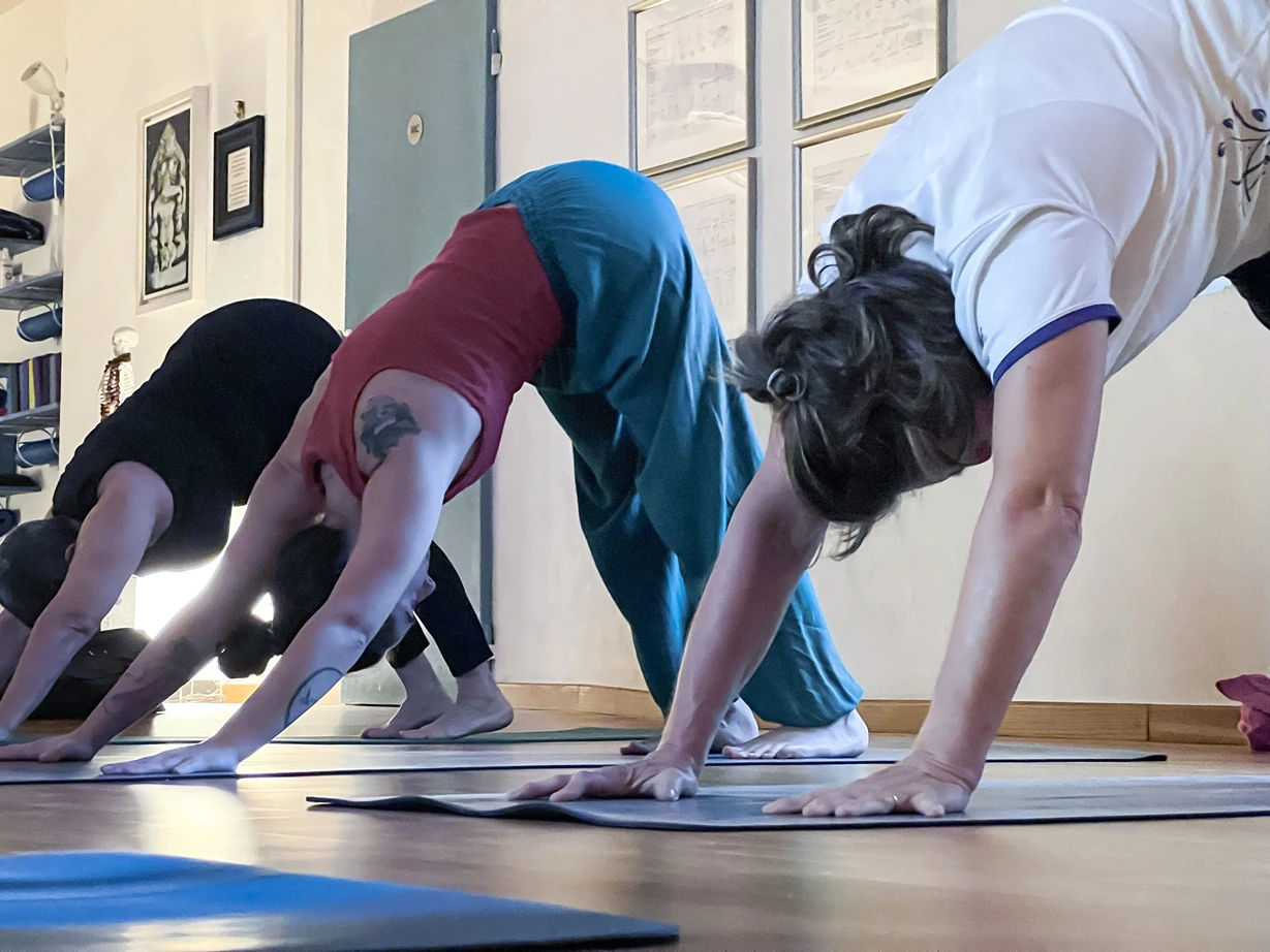 Ayfi Studio - Ashtanga Yoga Firenze 