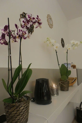 Casa Pilates Firenze Italy