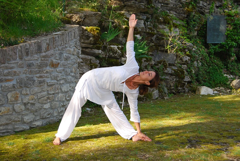 Himalayan Yoga Institute 