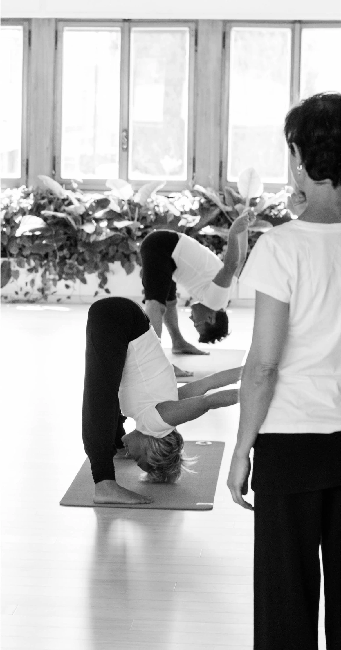 Istituto Yoga Moksha a.s.d.c. 