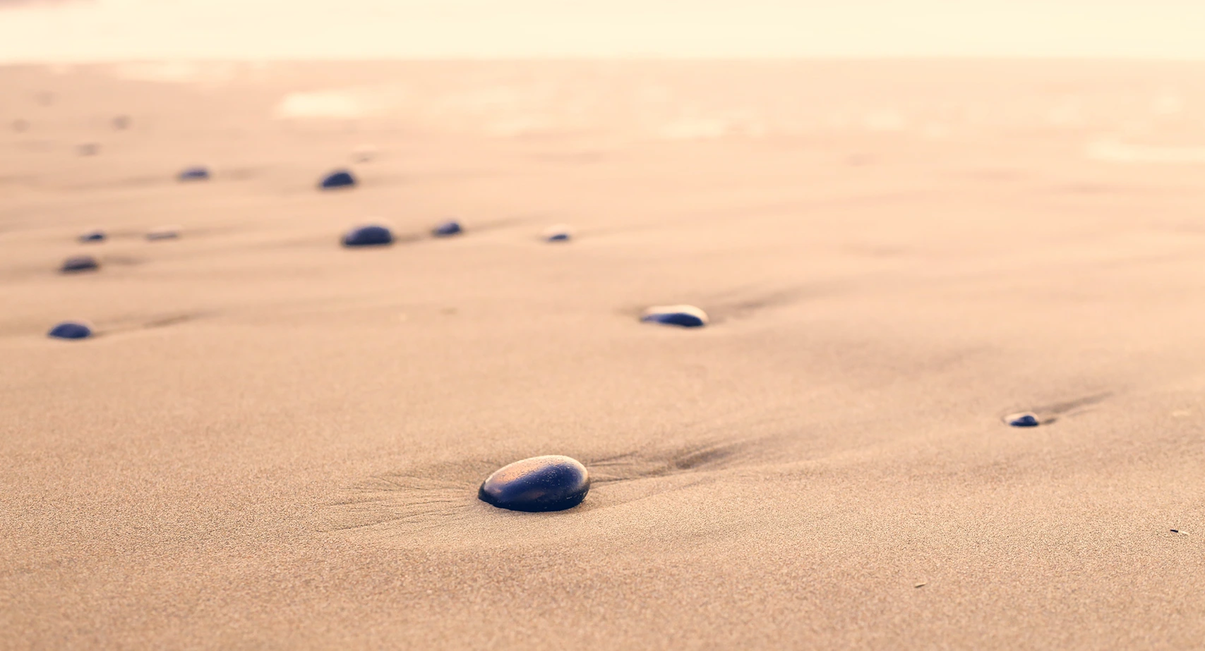 Marina Ciampelli, psichiatra, psicoterapeuta, insegnante di mindfulness