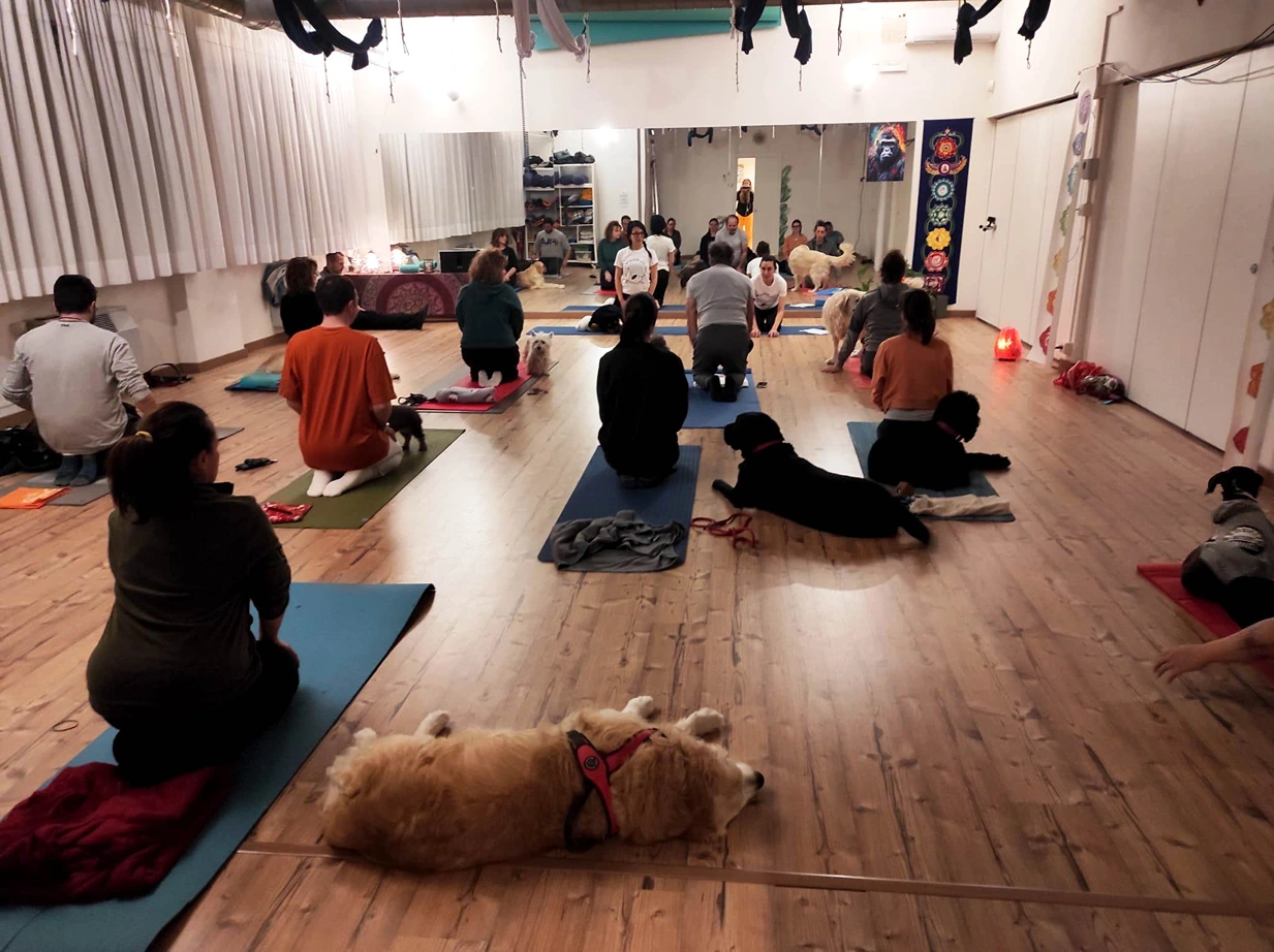Samadhi S.s.d.r.l. Integral Yoga Florence