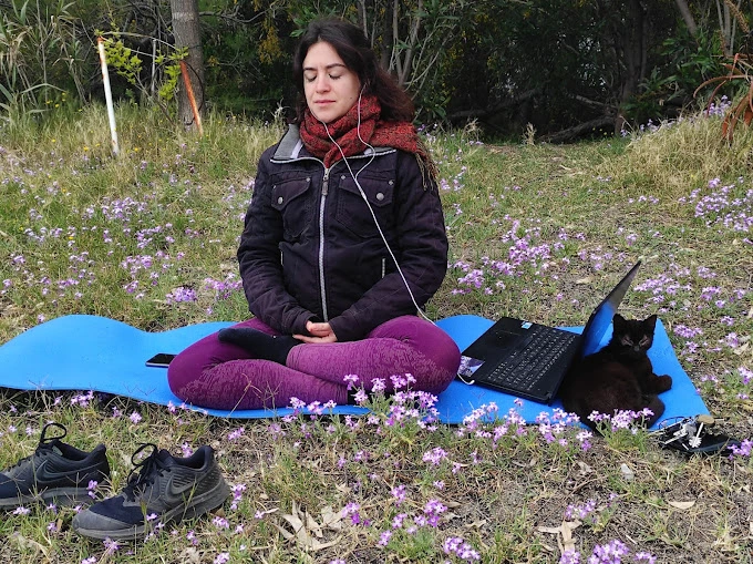 CENTRO MINDFULNESS IMMAGINALE ITINERANTE