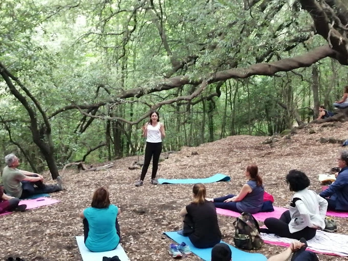 CENTRO MINDFULNESS IMMAGINALE ITINERANTE Italy