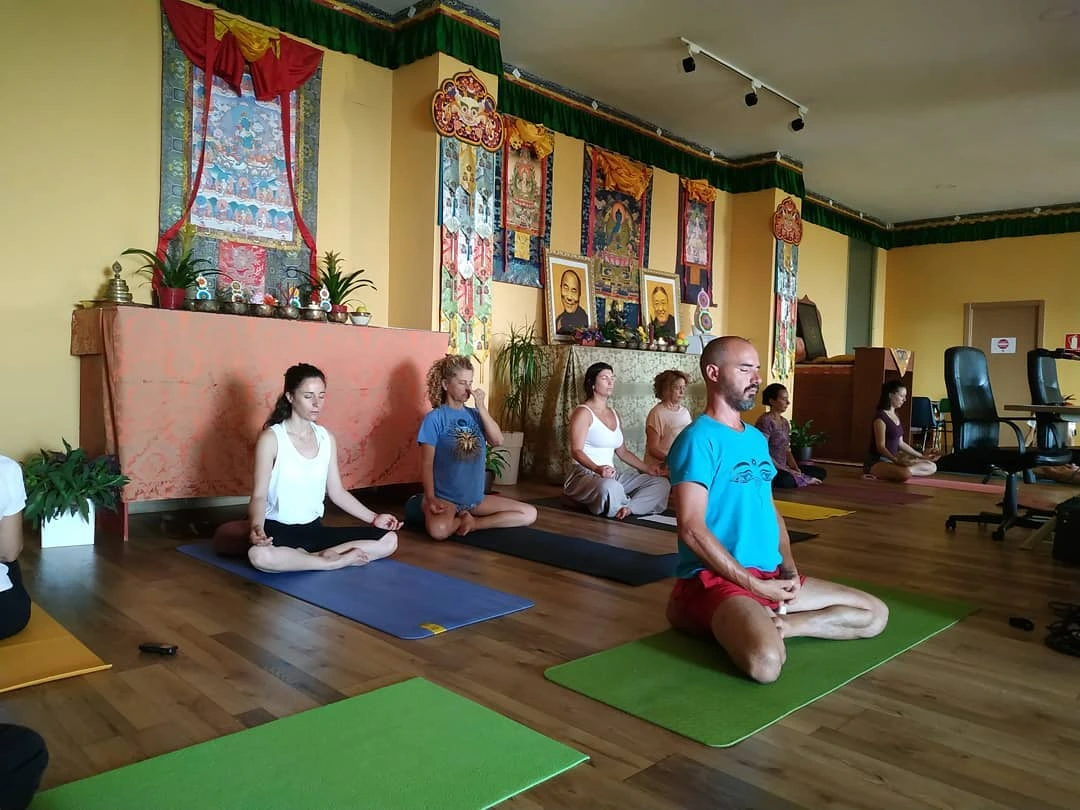 Ocean yoga Studio