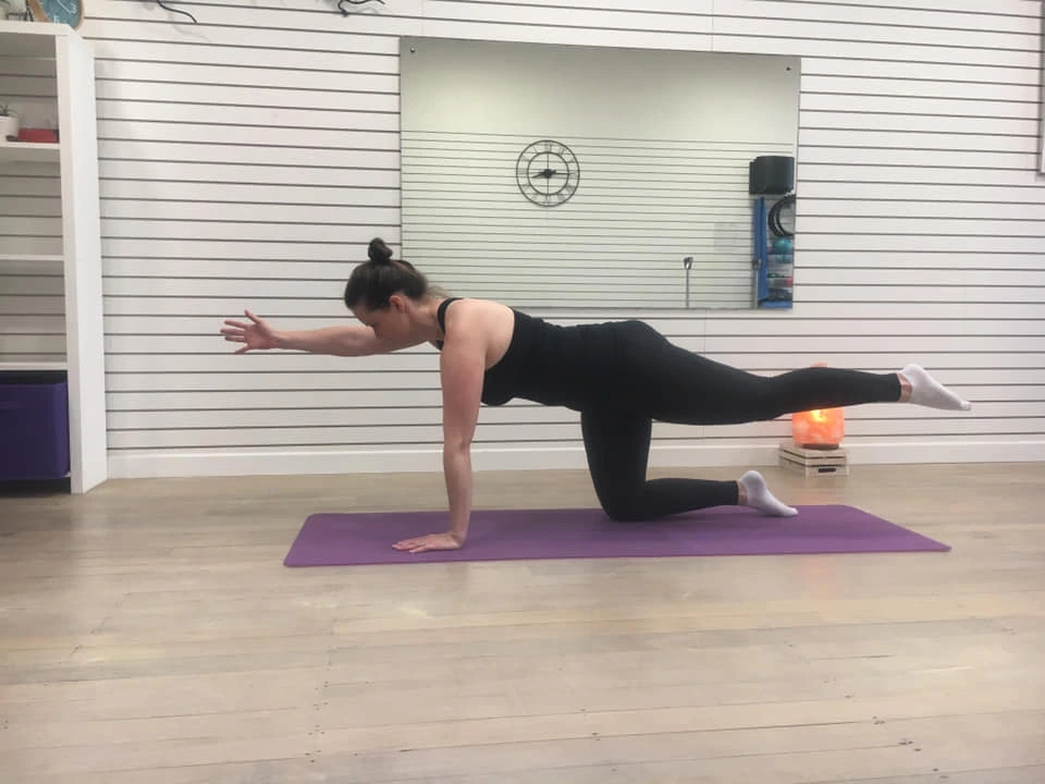 Moveart Pilates Studio New Zealand
