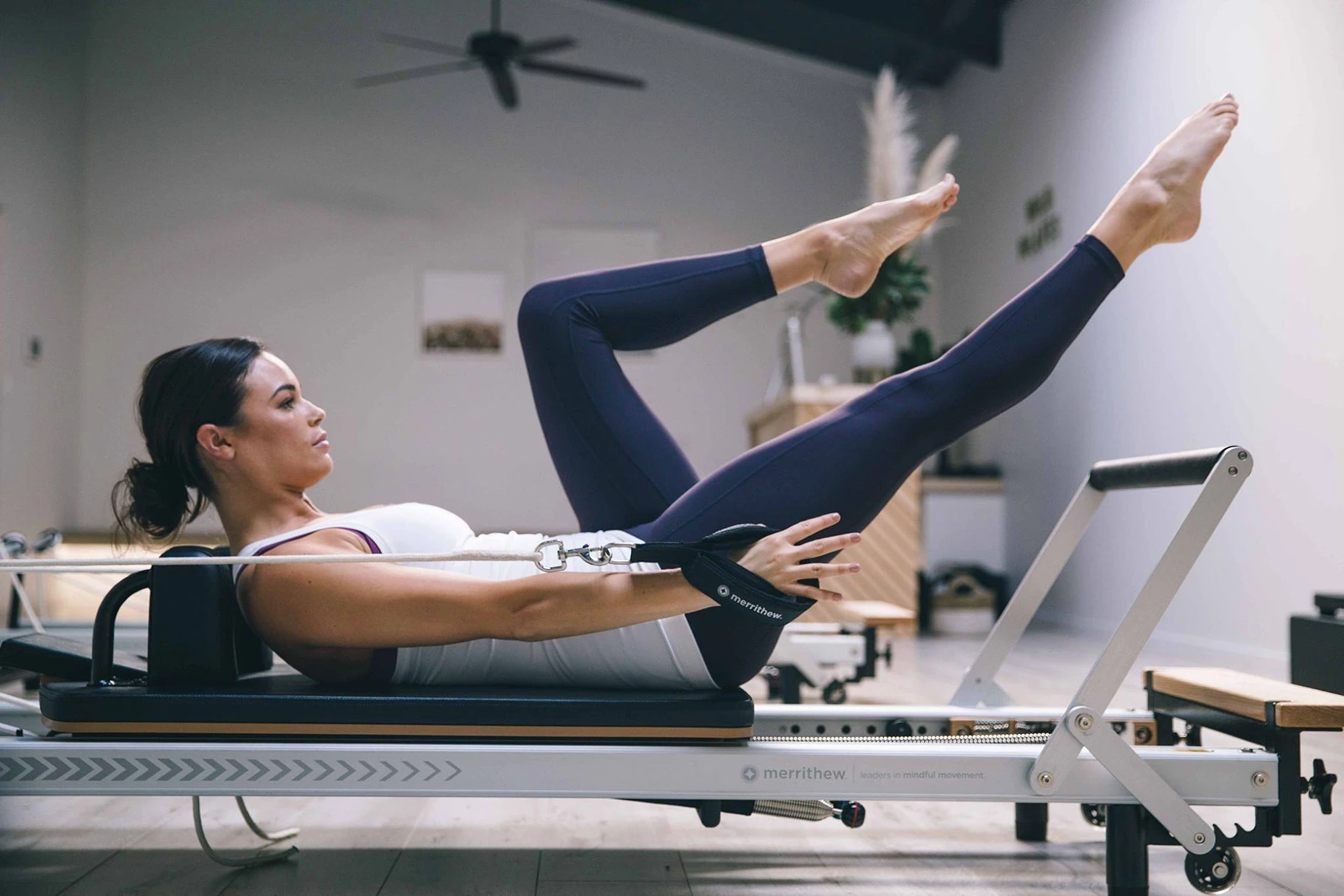 Wild Pilates Online Auckland