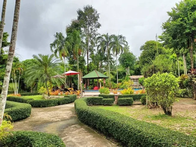  Krabi