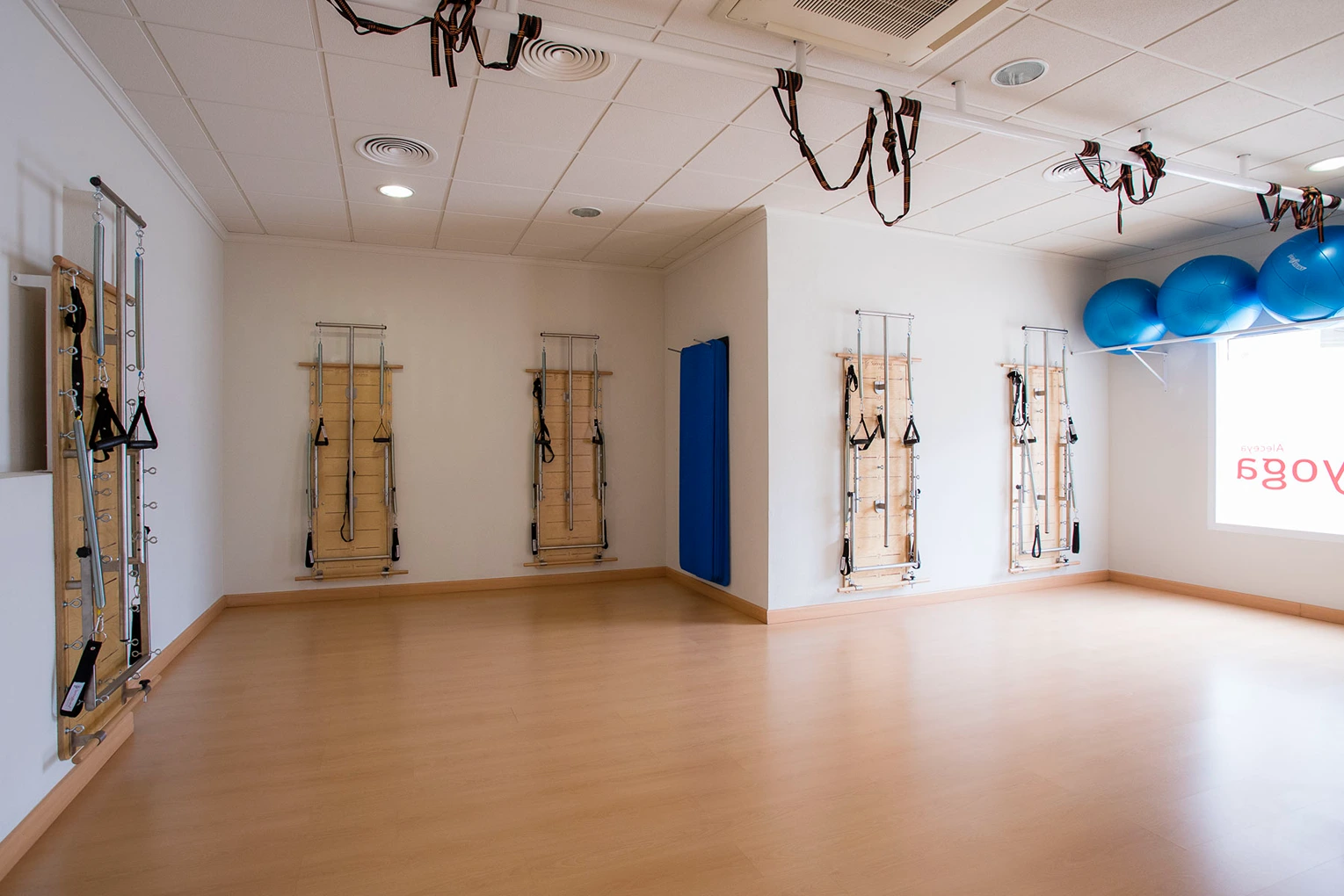 Fisioterapia y Pilates Aleceya Murcia