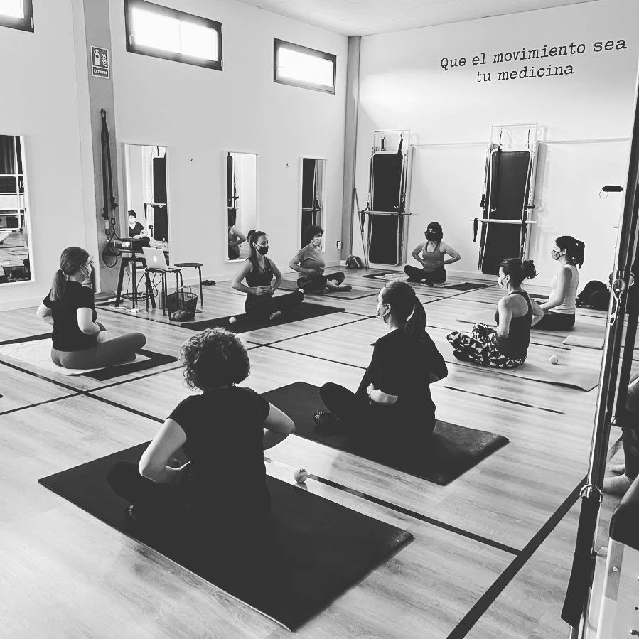 MP Pilates & Wellness 