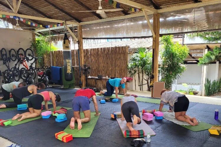 Visit Natural Detox Resort Koh Samui