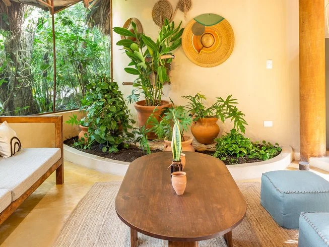 The Healing Journey Retreat Mexico