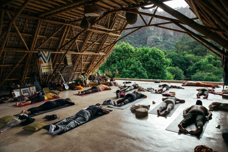 Amatecamp 