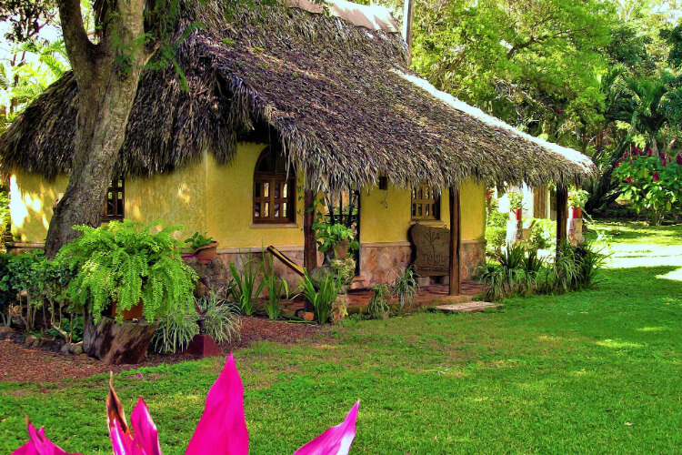 Ananda Marga Mexico Cuernavaca