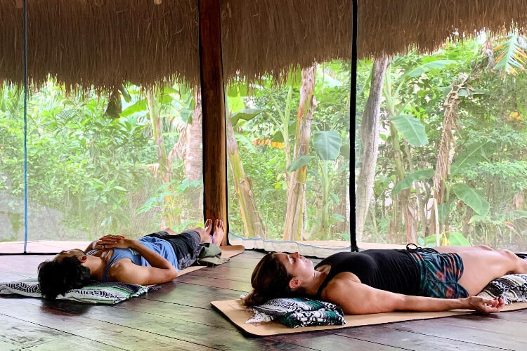 Holistic Tikun 
