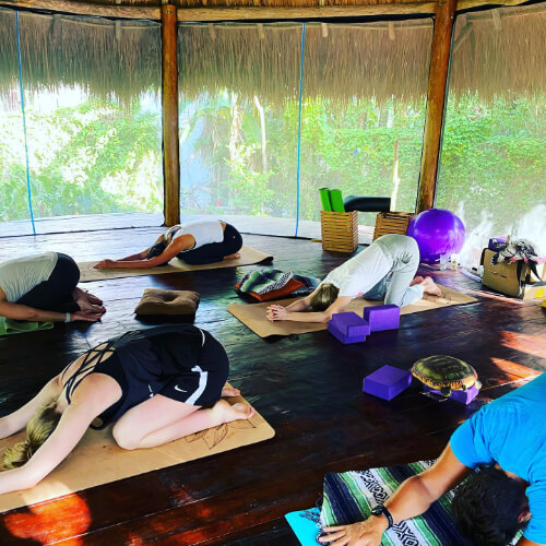 Holistic Tikun 
