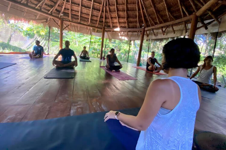 Holistic Tikun 