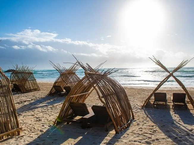 White Lion Retreat Mexico