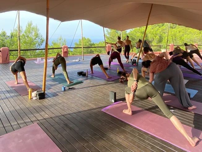 Samatva Vinyasa