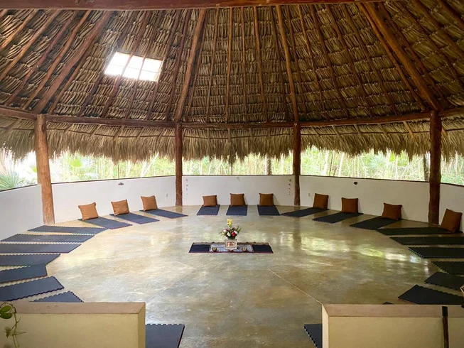 Dan Healing Arts Mexico