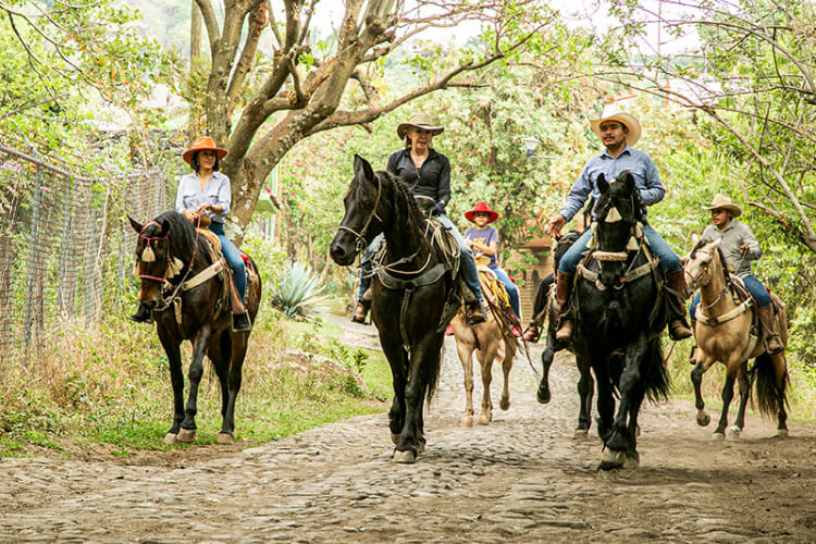 La Buena Vibra Wellness Retreat 