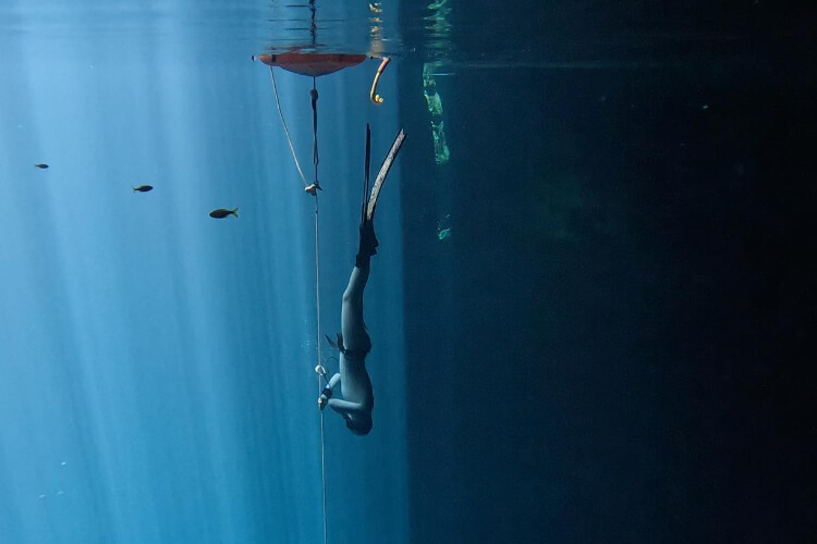 La Casa Surya Freediving & Yoga Center Mexico