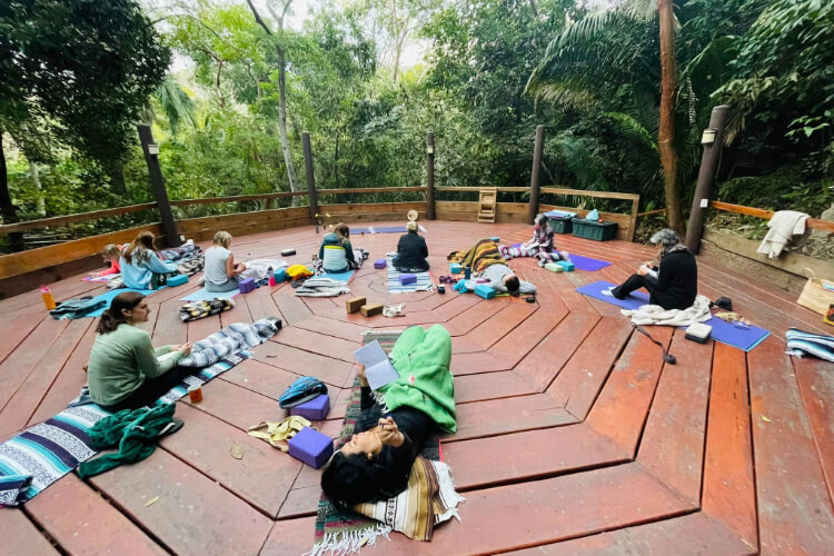 Vikara Wellness 