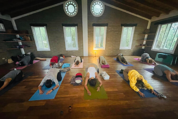 Vikara Wellness 