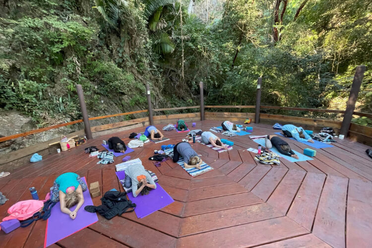 Vikara Wellness Guadalajara