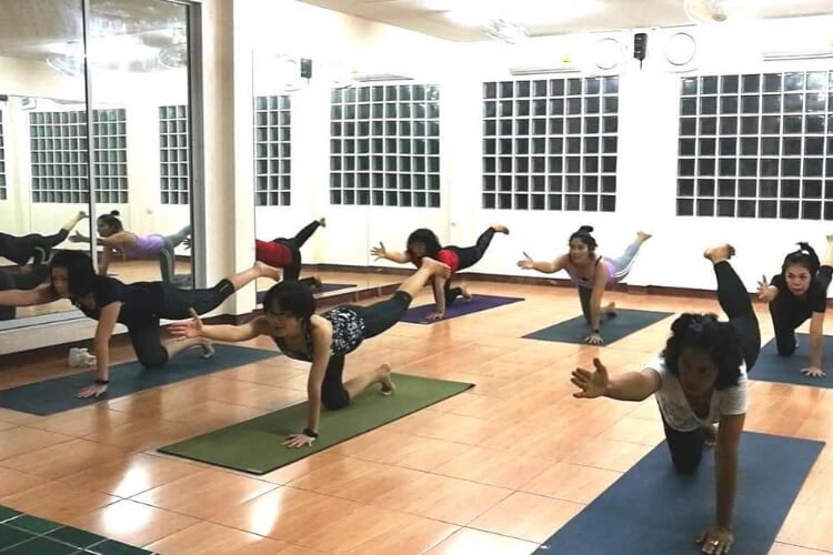 Flow Yoga Home and Retreat 