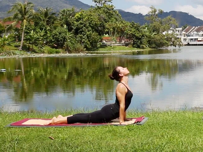 Traditional Ashtanga Yoga Shala 