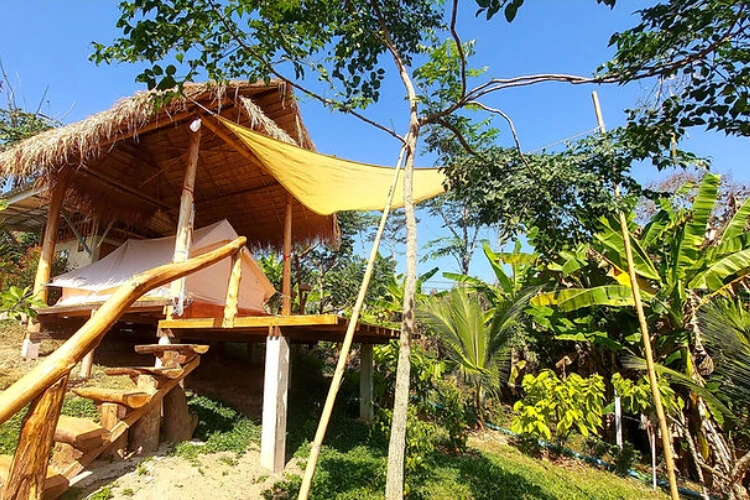  Chiang Mai