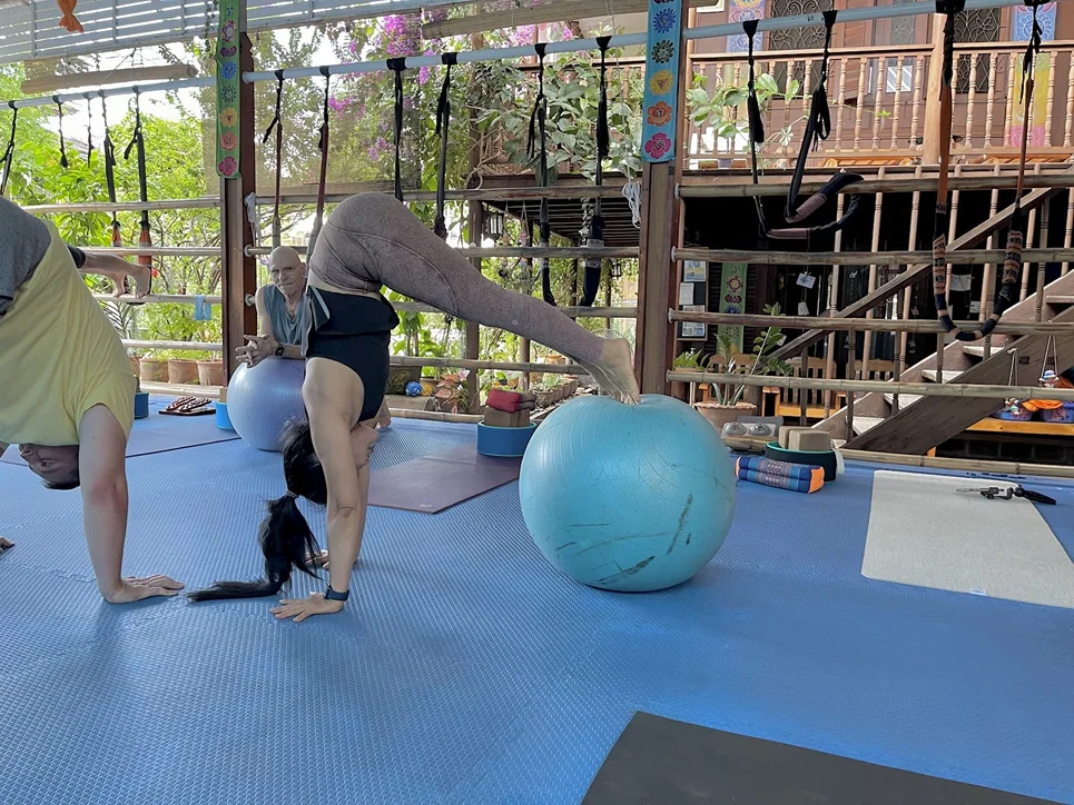 Satva Yoga 