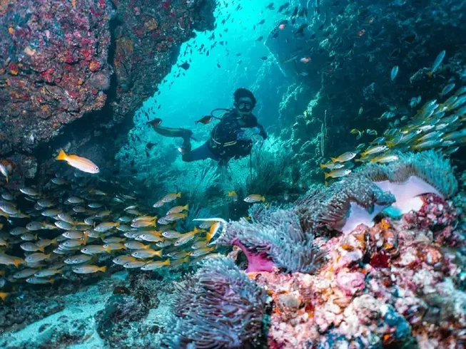  Koh Tao