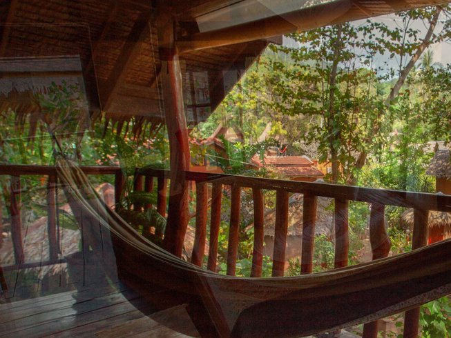  Koh Tao