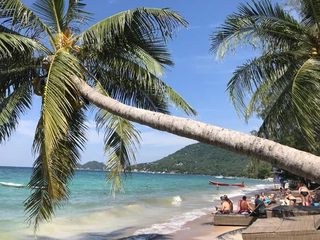  Koh Tao