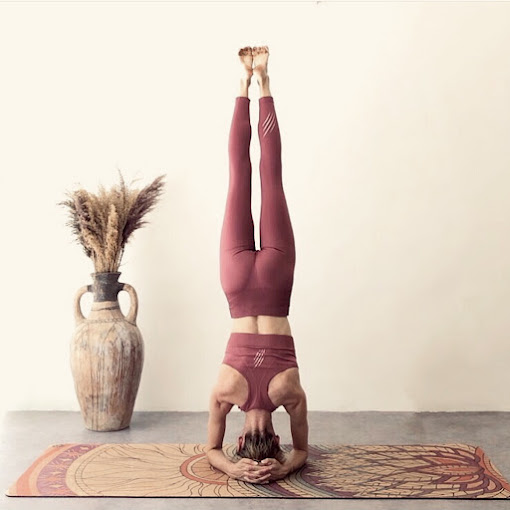 Root Holistic Center Image