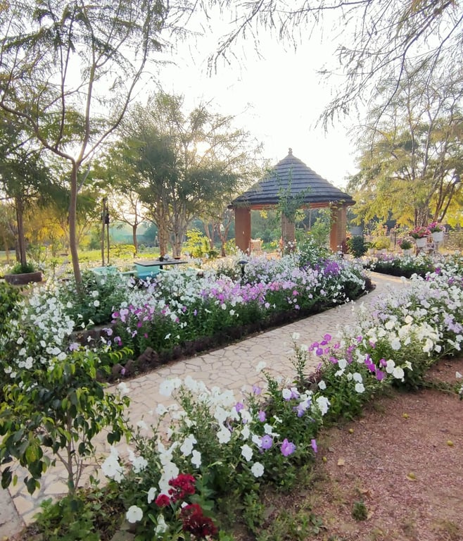  Udaipur