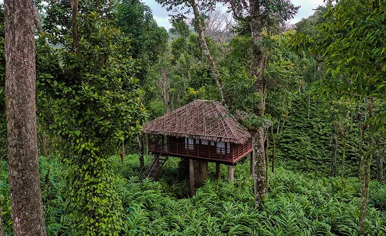 Carmelia Haven Resort India