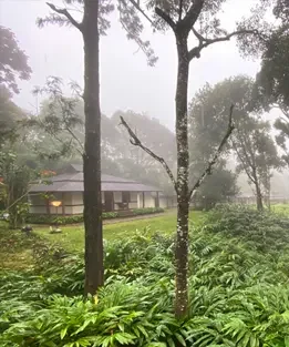 Carmelia Haven Resort Thekkady