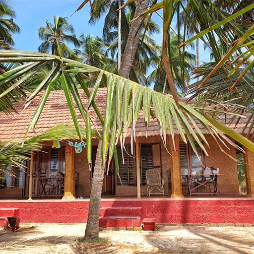  India